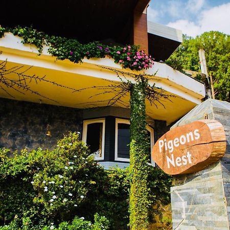 Pigeons Nest Acomodação com café da manhã Nuwara Eliya Exterior foto