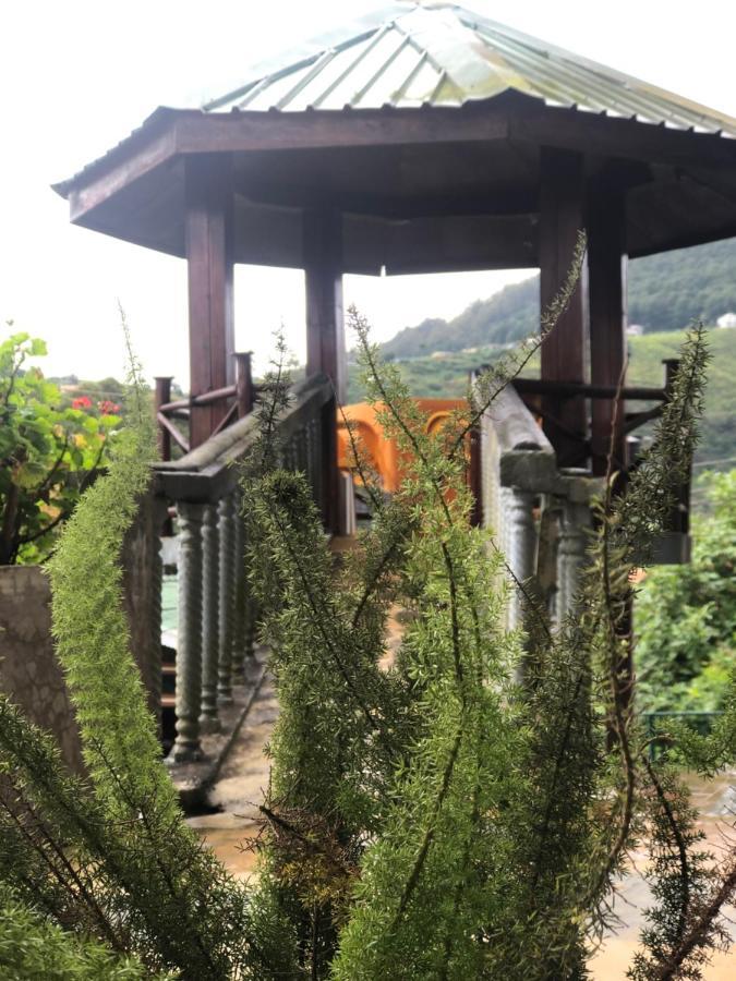 Pigeons Nest Acomodação com café da manhã Nuwara Eliya Exterior foto